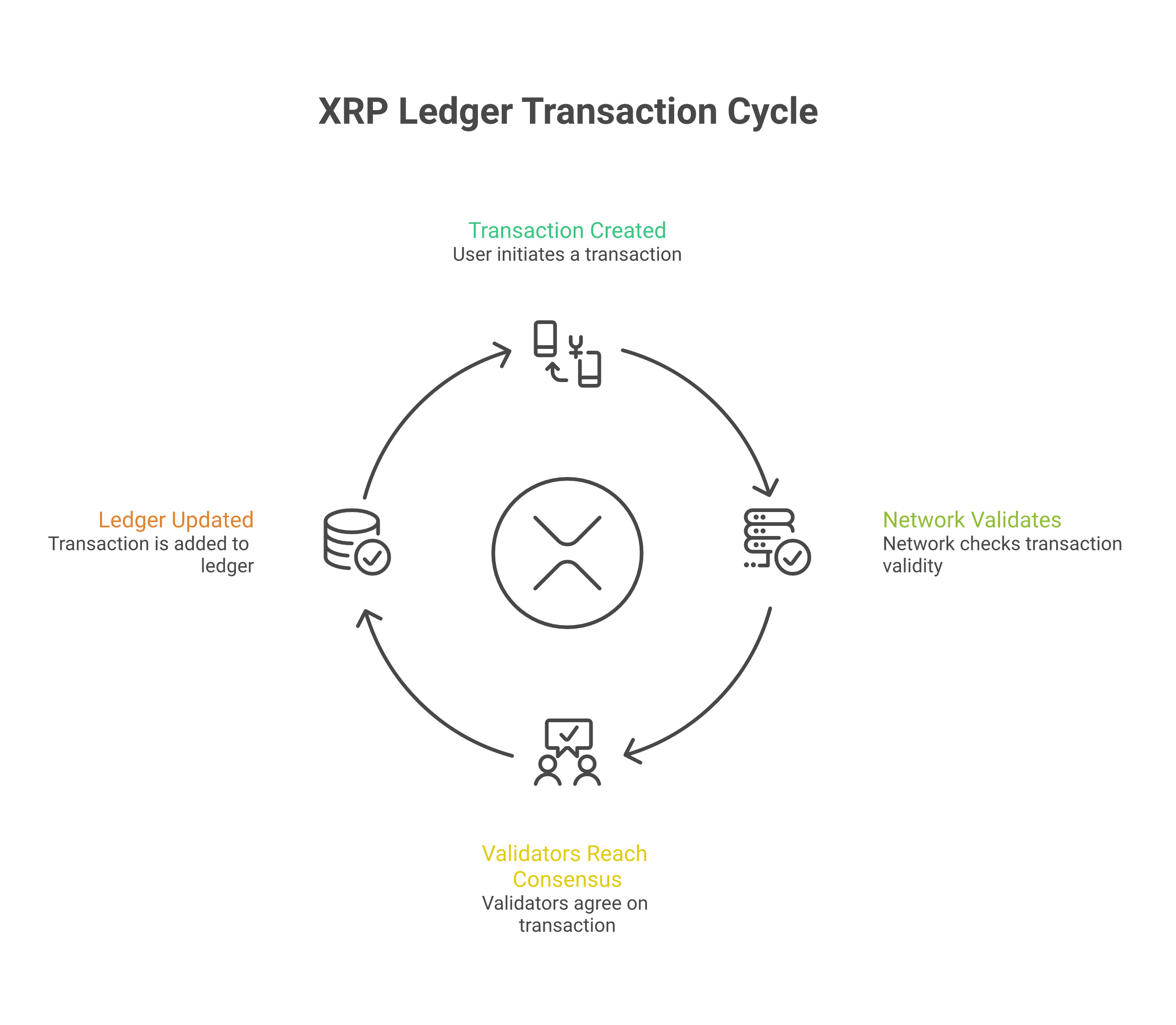 The XRP Ledger uses a fast, efficient consensus process to validate transactions in just a few seconds.