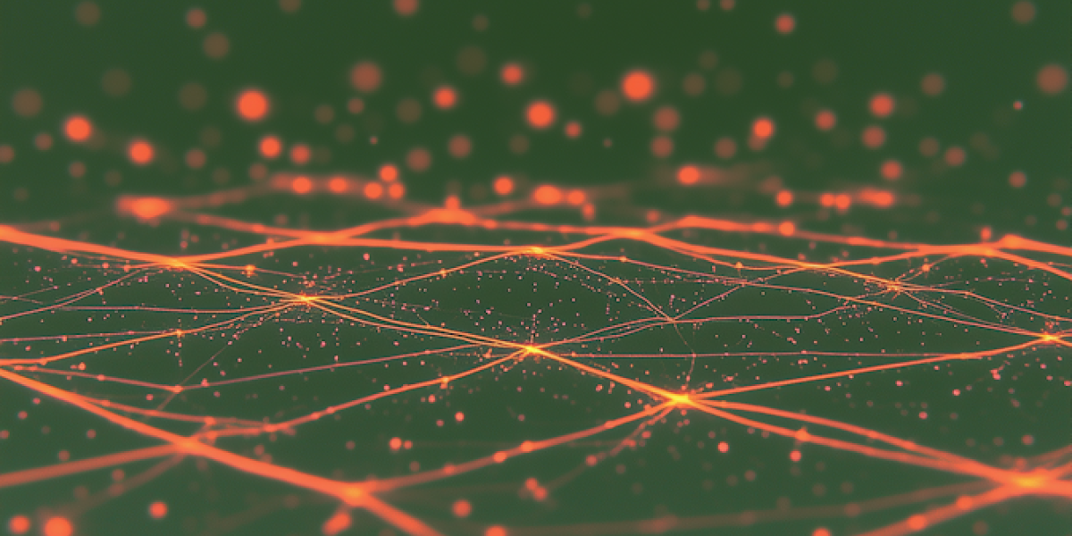 Melania Crypto Coin Evaluation Simple Steps for Everyday Users